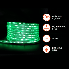 Đèn LED Dây Ngoài Trời 120 Chip LED - 2 Dãy LED Nanoco NST120