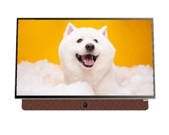 Tivi LED 24 Inch Coocaa 24LP6000G