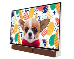 Tivi LED 24 Inch Skyworth 24P6300