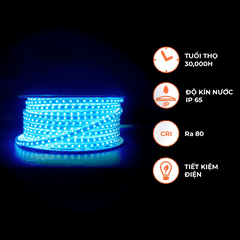 Đèn LED Dây Ngoài Trời 72 Chip LED Nanoco NST072
