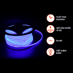 Đèn LED Dây Ngoài Trời 120 Chip LED - 2 Dãy LED Nanoco NST120