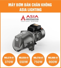Máy Bơm Nước Bán Chân Không Asia Lighting MBJ750-01
