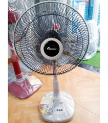 Quạt Lửng ChingHai HS802