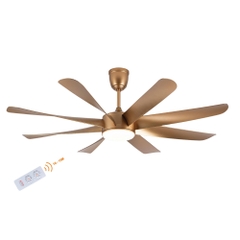 Quạt Trần Động Cơ DC Asia Lighting QT22-DV-01 (Màu Đồng Vàng Quý Tộc)