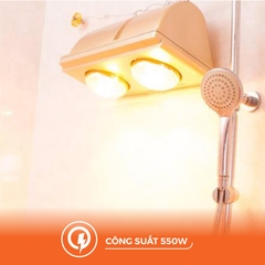 Đèn Sưởi Gắn Tường Hai Bóng Nanoco NBH634BE