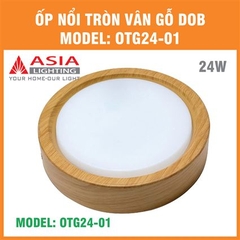 Đèn Ốp Nổi Tròn Vân Gỗ Asia Lighting OTG