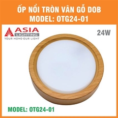 Đèn Ốp Nổi Tròn Vân Gỗ Asia Lighting OTG