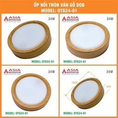 Đèn Ốp Nổi Tròn Vân Gỗ Asia Lighting OTG