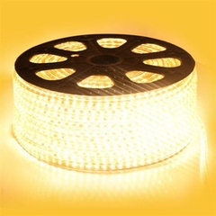 Đèn LED Dây 5730 Đổi Màu Asia Lighting LD 5730 - 120