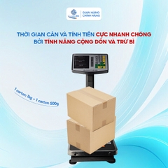 Cân Bàn Điện Tử Sài Gòn SGB-100 (60-100kg)