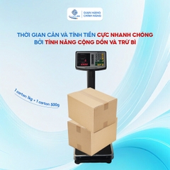Cân Bàn Điện Tử Sài Gòn SGB-150 (150-200kg)