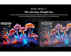 Tivi QLED 4K Coocaa Y73 PRO