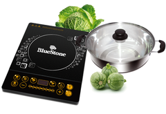 BẾP TỪ BLUESTONE ICB-6607