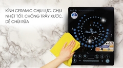 BẾP TỪ BLUESTONE ICB-6608