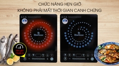 BẾP TỪ BLUESTONE ICB-6608