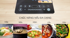 BẾP TỪ BLUESTONE ICB-6608