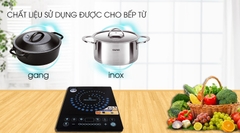 BẾP TỪ BLUESTONE ICB-6608