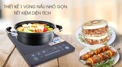 BẾP TỪ BLUESTONE ICB-6608
