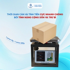 Cân Ghế Điện Tử Sài Gòn SGH-100 (60-100kg)