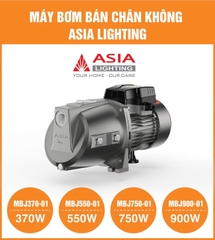 Máy Bơm Nước Bán Chân Không Asia Lighting MBJ750-01