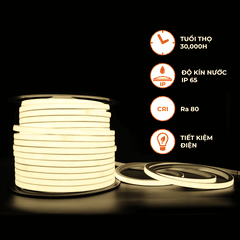 Đèn LED Dây Neon Ngoài Trời Nanoco NSTN120