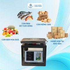 Cân Ghế Điện Tử Sài Gòn SGH-100 (60-100kg)