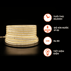 Đèn LED Dây Ngoài Trời 60 Chip LED Nanoco NST060