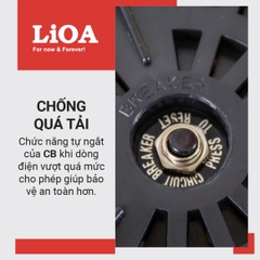 Biến Áp Đổi Nguồn Hạ Áp 1 Pha LiOA 1.5kVA DN015A