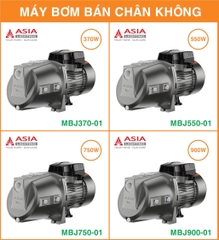 Máy Bơm Nước Bán Chân Không Asia Lighting MBJ370-01