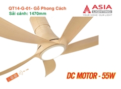 Quạt Trần Động Cơ DC Asia Lighting QT14-G-01 (Màu Gỗ Phong Cách)