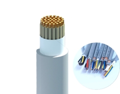 Cáp điều khiển có màn chắn chống nhiễu LiOA - 0.6/1kV-TCVN 5935 (37 lõi, ruột đồng, cách điện PVC, vỏ PVC) (1 mét)