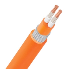 Cáp điện lực chậm cháy LiOA: CXV/FRT-2C-0,6/1kV, Tiêu chuẩn TCVN 5935-1/IEC 60502-1/IEC 60332-3 CAT C (1 mét)