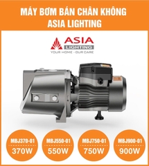 Máy Bơm Nước Bán Chân Không Asia Lighting MBJ750-01