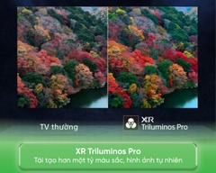 Tivi OLED 55/65 Inch Sony BRAVIA 8 XR80