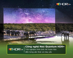 Tivi QLED 50/55/65/75/85/98 Inch Samsung QN90DA