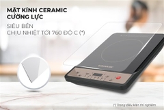 Bếp Từ Đơn Sunhouse SHD6160