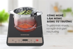 Bếp Từ Đơn Sunhouse SHD6160