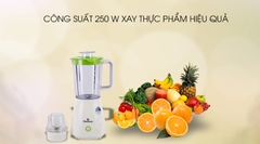 SẢN PHẨM NGỪNG KINH DOANH - MÁY XAY SINH TỐ BLUESTONE BLB-5311