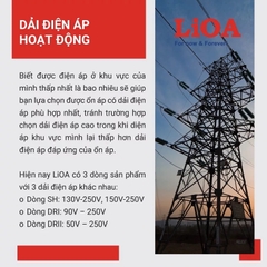 Ổn Áp LiOA 1 Pha 30KVA DRI-30,000II (90-250v) - New Đồng hồ điện tử