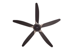 Quạt trần Panasonic F-60GDS-B