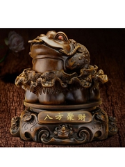 Cóc ngậm tiền (Thiềm thừ, kim thiền)