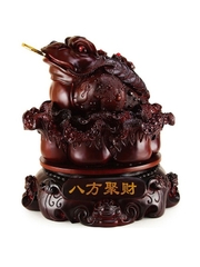 Cóc ngậm tiền (Thiềm thừ, kim thiền)