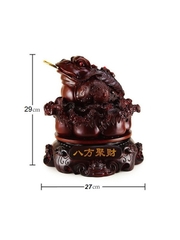 Cóc ngậm tiền (Thiềm thừ, kim thiền)