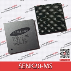 SENK20-MS