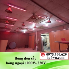 Bóng đèn sấy hồng ngoại 1000W/220V