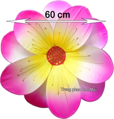 Cho thuê hoa múa hồng cánh sen đẹp, chất lượng, giá rẻ