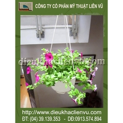 Hoa dạ yến thảo