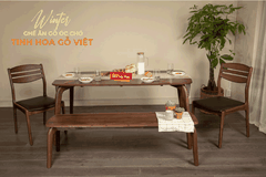 Ghế Ăn Gỗ Óc Chó Mặt Nệm Winter