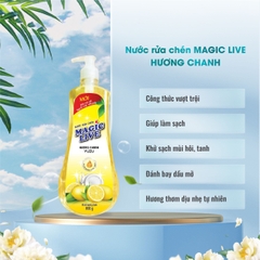 Nước rửa chén bát hương chanh sả Magic Live diệt 99% vi khuẩn, các mùi khó chịu