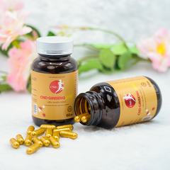 Viên nhân sâm CND GINSENG Gold tăng cường sức khoẻ, nâng cao sức đề kháng, giảm mệt mỏi, giúp tỉnh táo